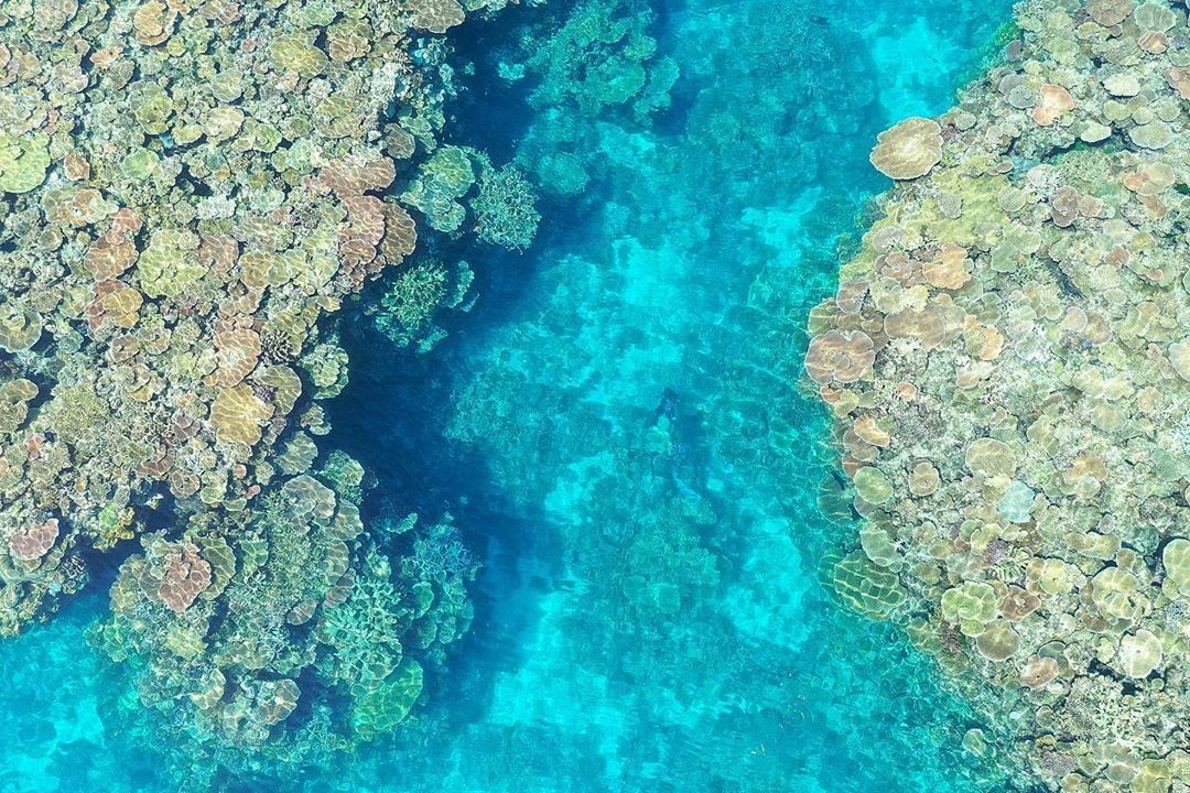 Great Barrier Reef, North Queensland, Australia