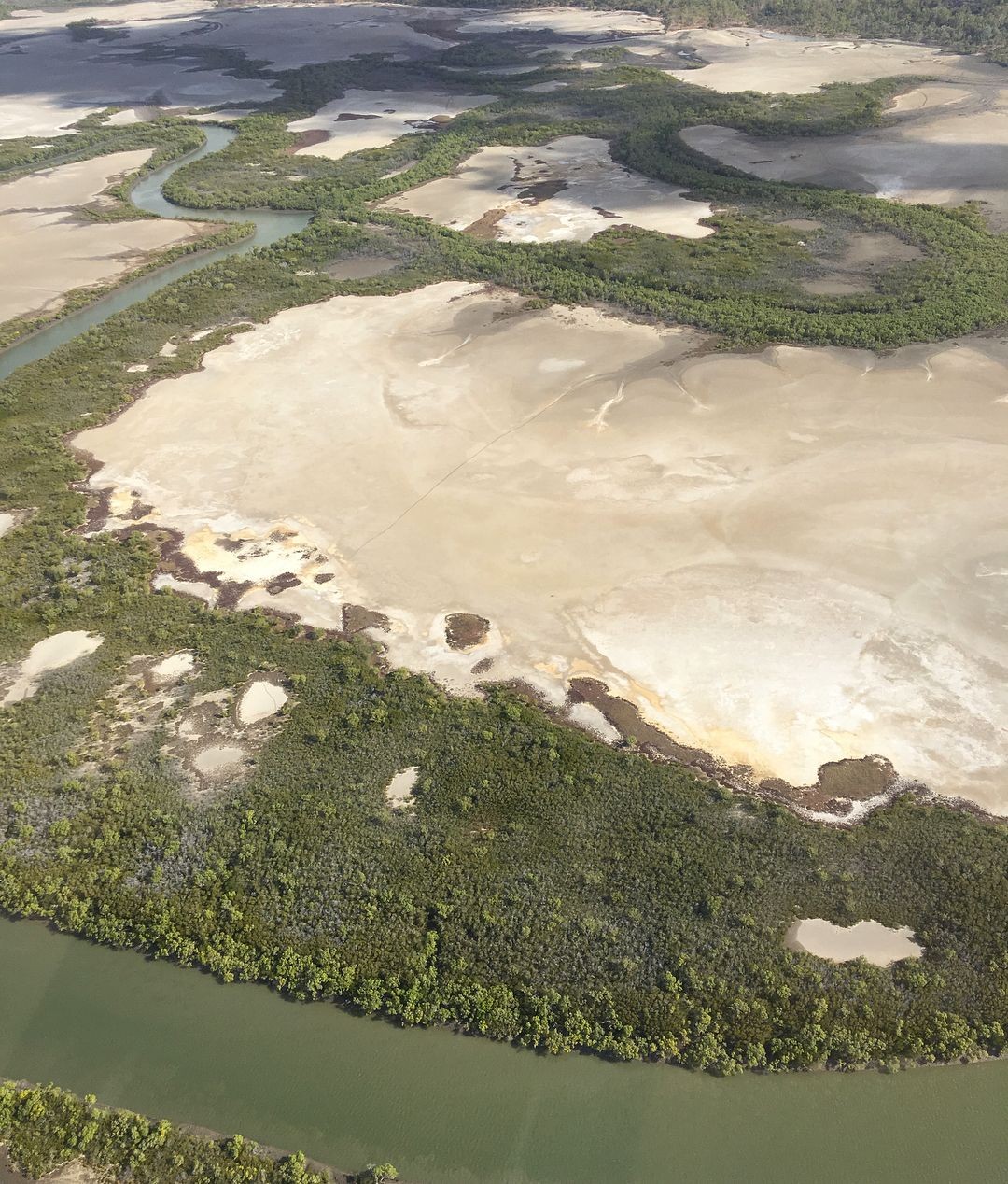 Salt Flats, Bowling Green Bay National Park, Bluewater, Townsville, North Queensland, Australia