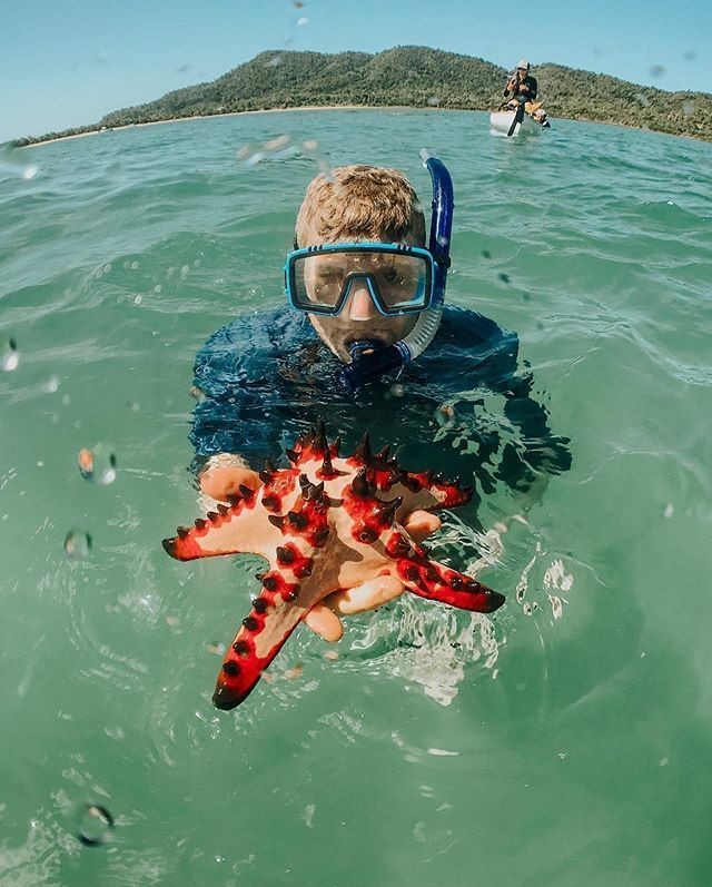 Dunk Island, Cassowary Coast, Far North Queensland, North Queensland, Australia