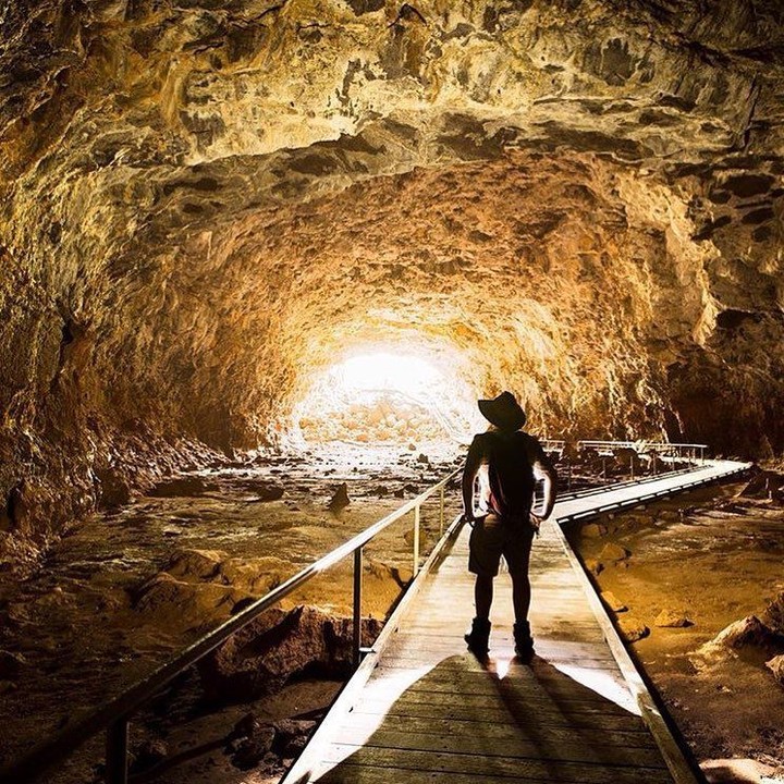 Undara Lava Tubes, Far North Queensland, North Queensland, Australia