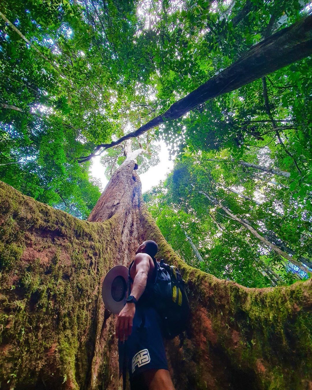 Paluma, North Queensland, Australia