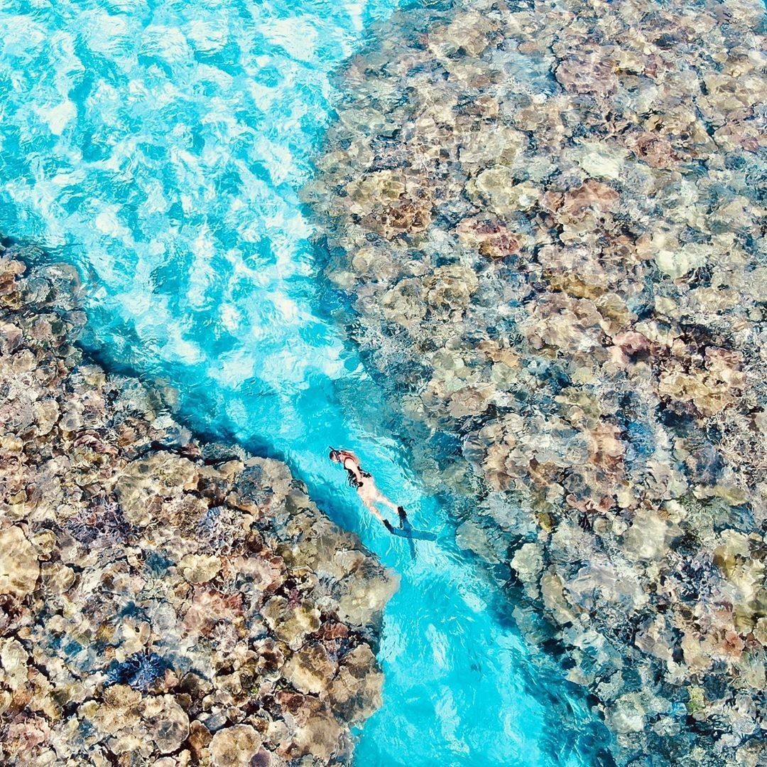 Great Barrier Reef, North Queensland, Australia