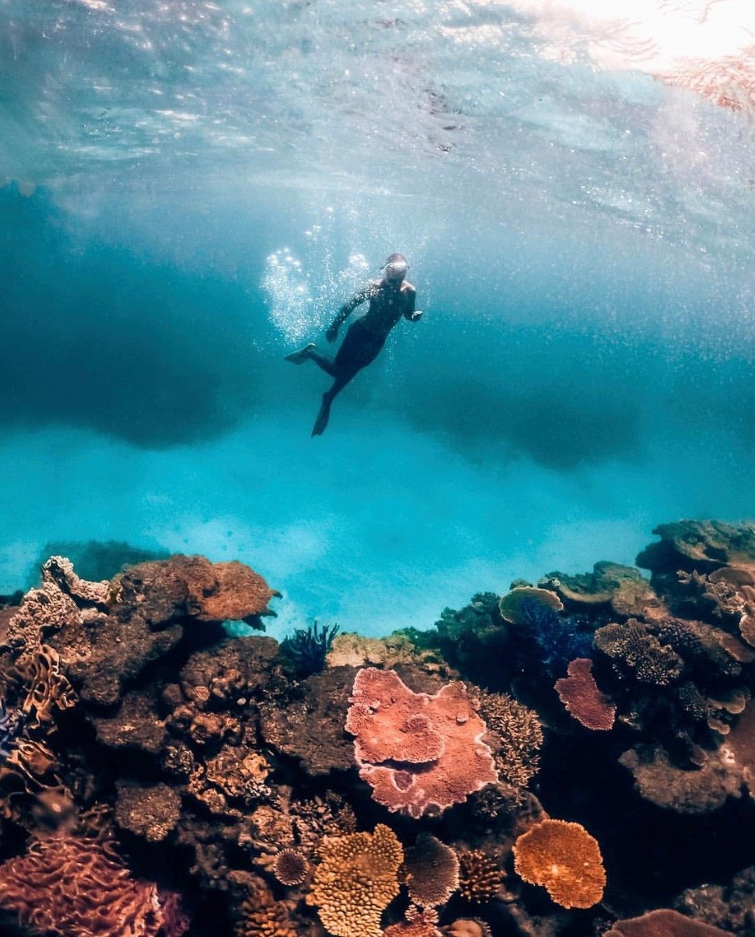 Great Barrier Reef, North Queensland, Australia