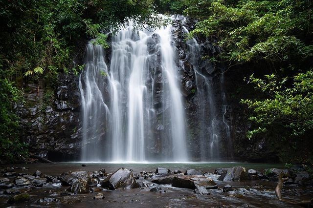 Ellinjaa Falls, Atherton Tablelands, Far North Queensland, North Queensland, Australia