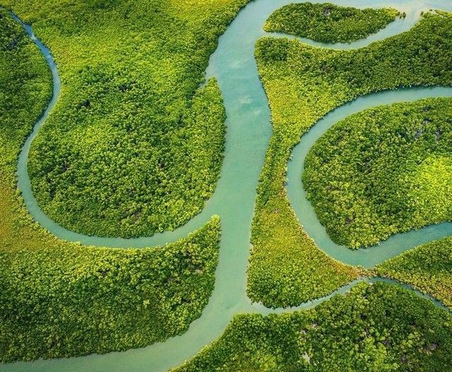 Hinchinbrook Island, Townsville, Great Barrier Reef, Far North Queensland, North Queensland, Australia
