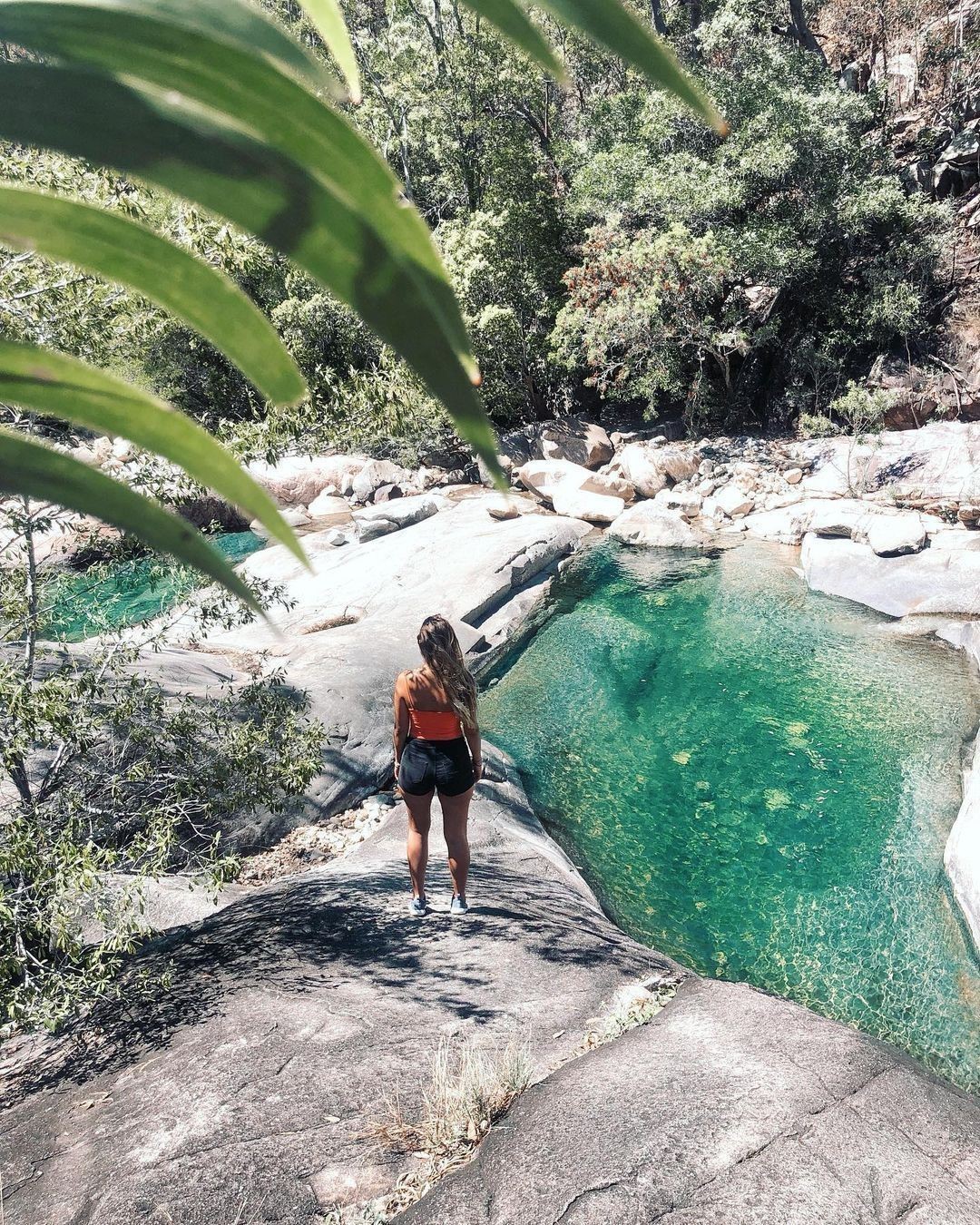 Paluma, Far North Queensland, North Queensland, Australia