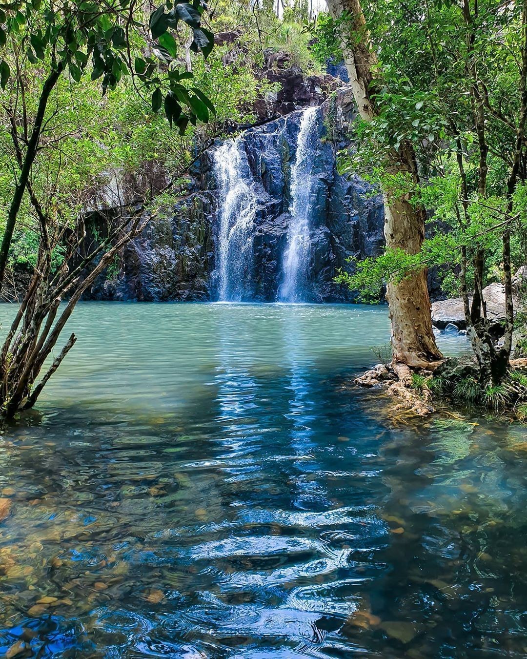 Cedar Creek Falls, North Queensland, Australia