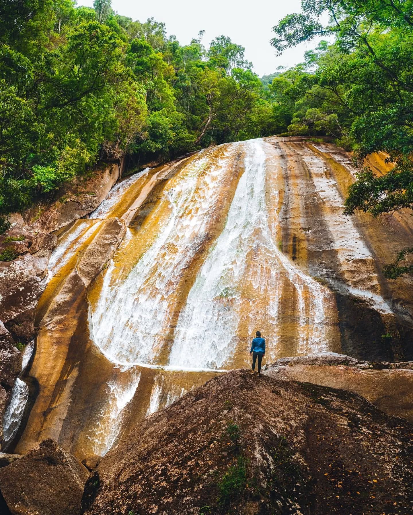 Cairns, Far North Queensland, North Queensland, Australia