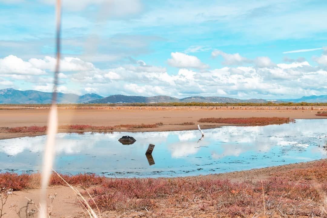 Salt Flats, Town Common / Cape Pallarenda, Bluewater, Townsville, North Queensland, Australia