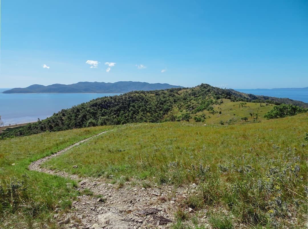 Town Common / Cape Pallarenda, Magnetic Island, Townsville, North Queensland, Australia