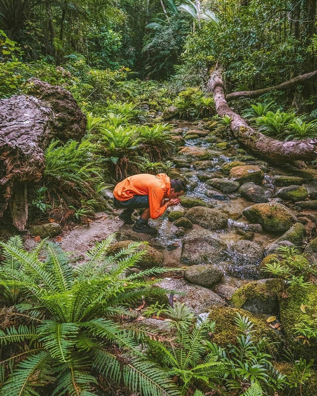 Townsville, North Queensland, Australia