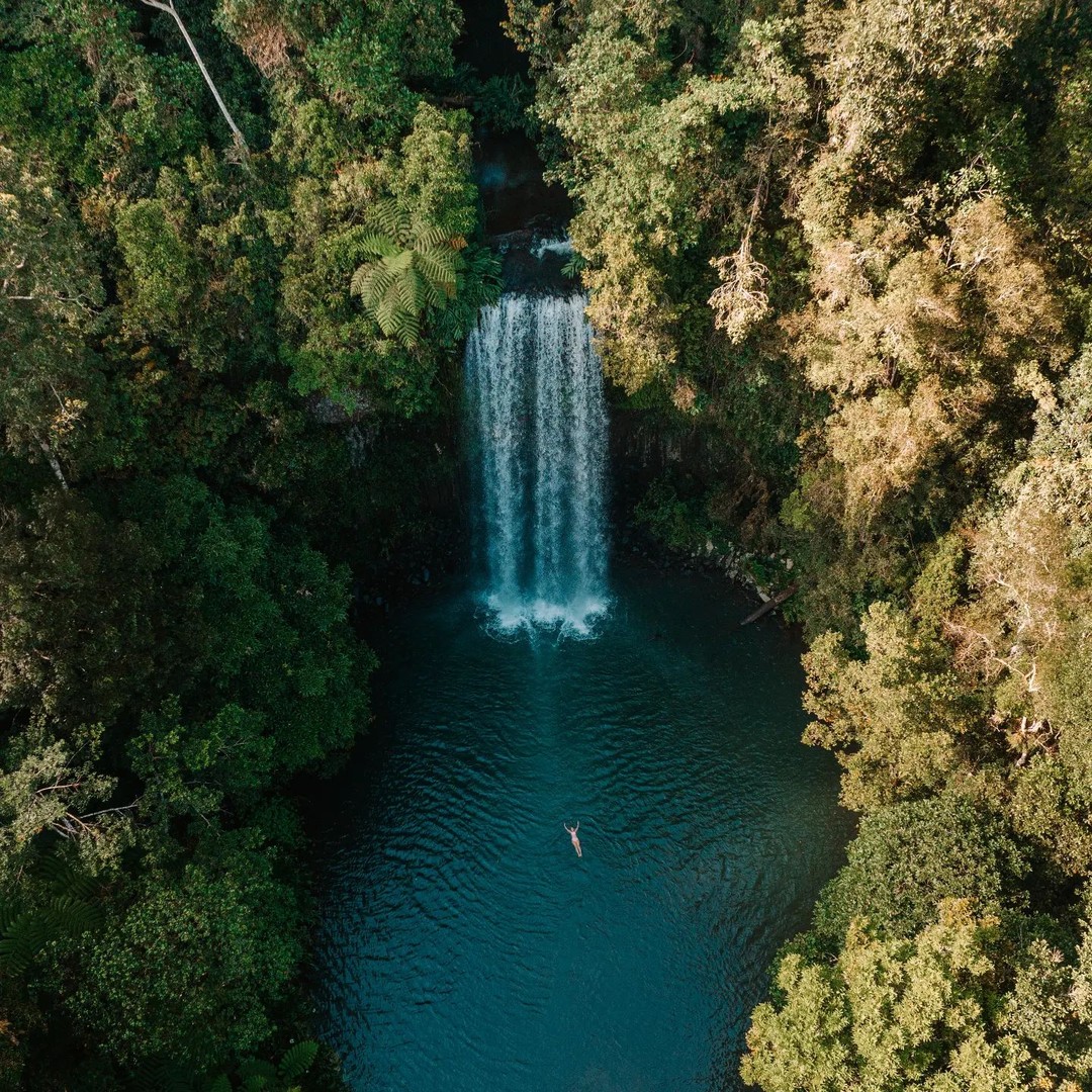 Millaa Millaa Falls, Atherton Tablelands, Far North Queensland, North Queensland, Australia