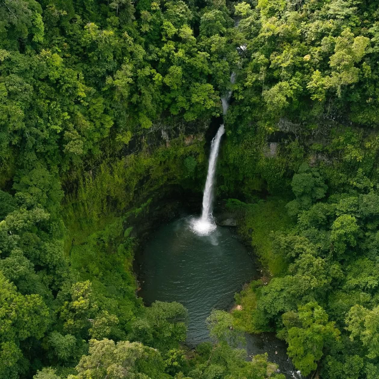 Nandroya Falls, Atherton Tablelands, Far North Queensland, North Queensland, Australia