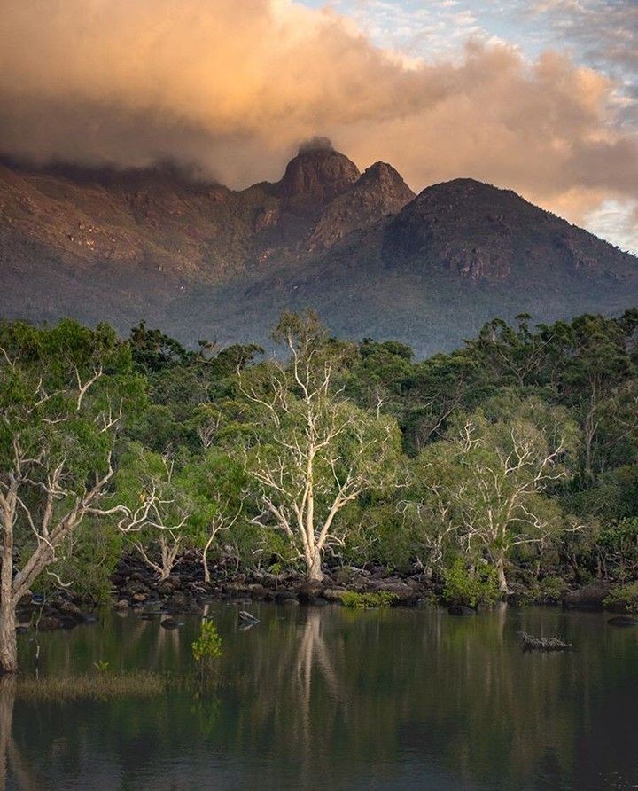 Hinchinbrook Island, Far North Queensland, North Queensland, Australia