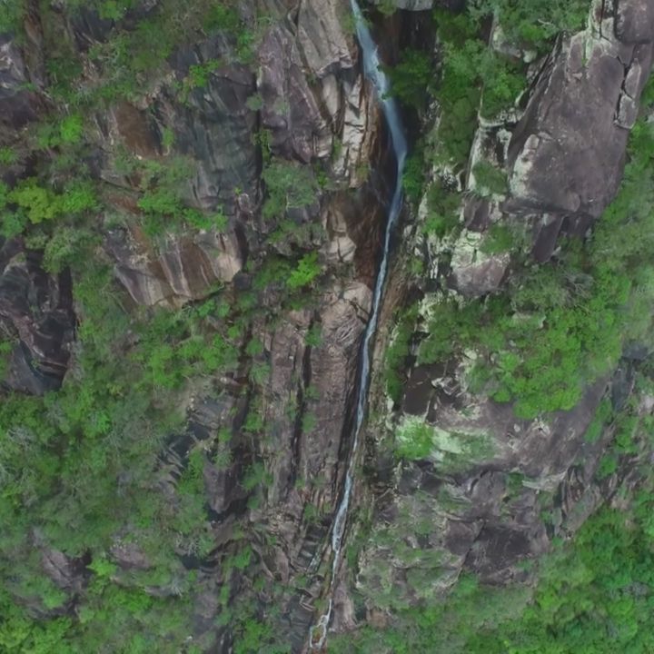 Bowling Green Bay National Park, Townsville, North Queensland, Australia