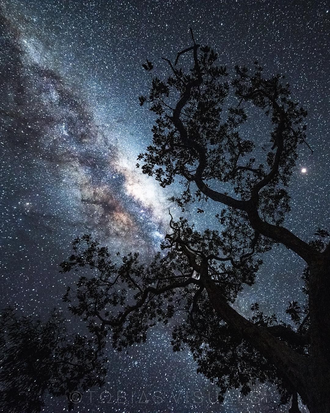 Paluma, North Queensland, Australia