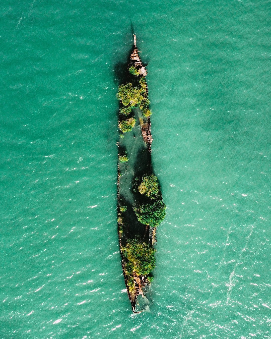 Magnetic Island, Townsville, North Queensland, Australia