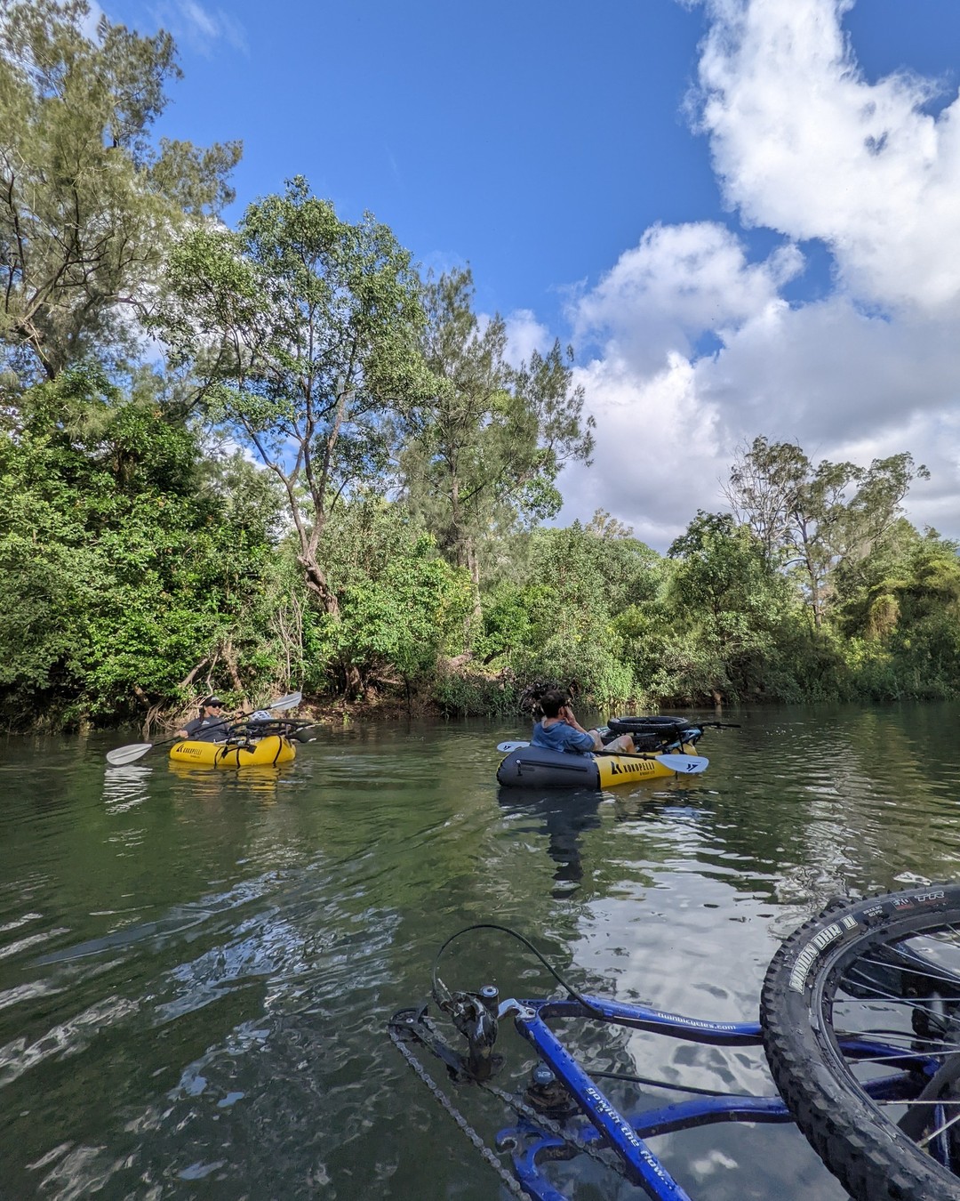 Alligator Creek, Bowling Green Bay National Park, Townsville, North Queensland, Australia