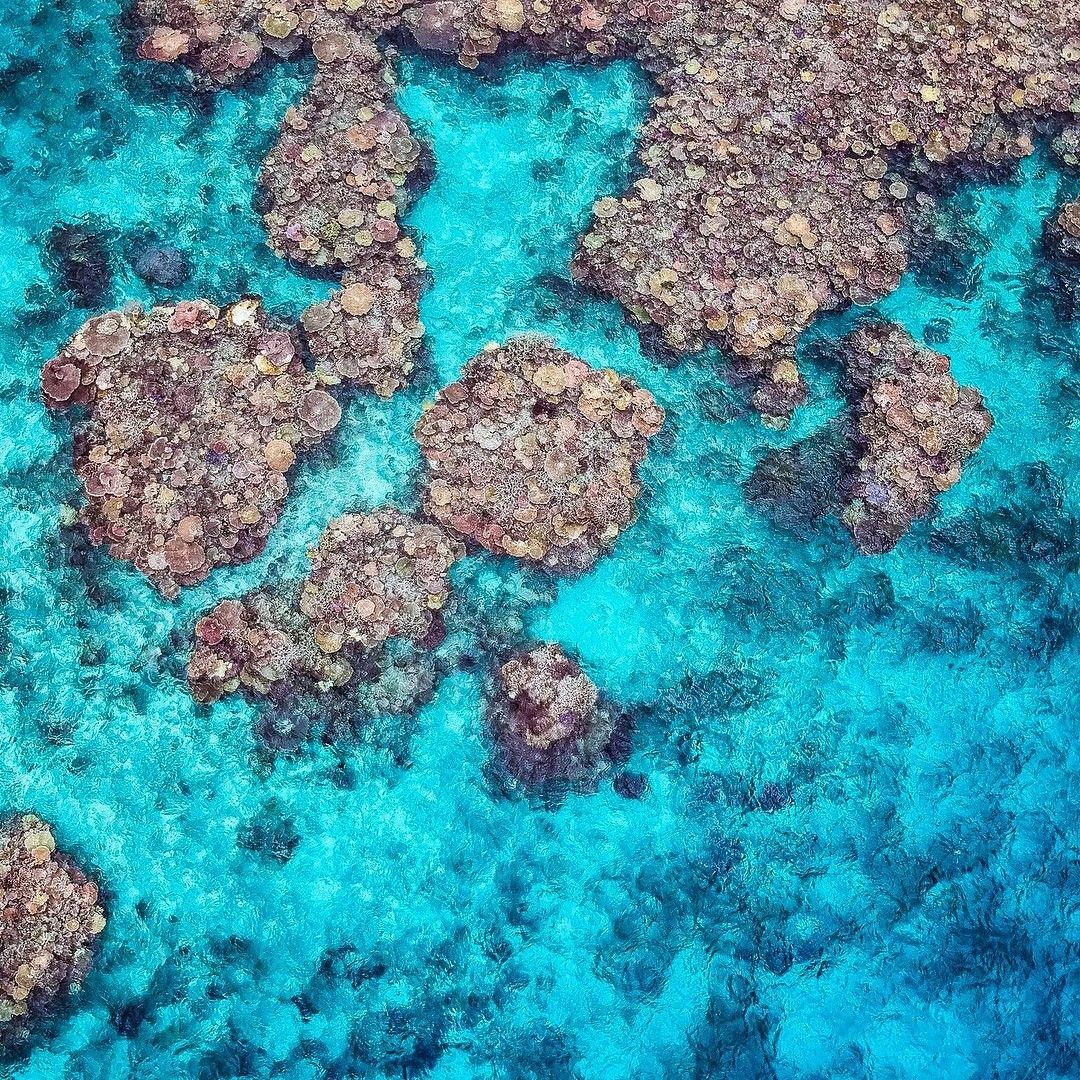 Great Barrier Reef, North Queensland, Australia