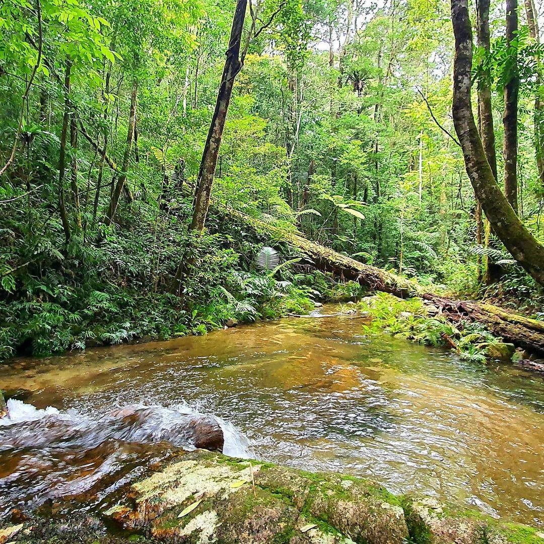 Paluma, Townsville, North Queensland, Australia