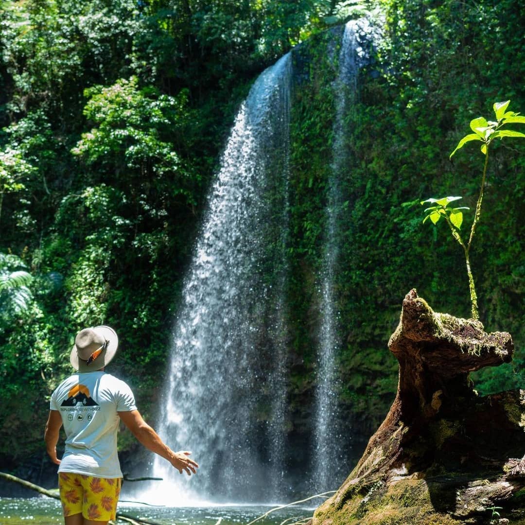 Wooroonooran, Far North Queensland, North Queensland, Australia