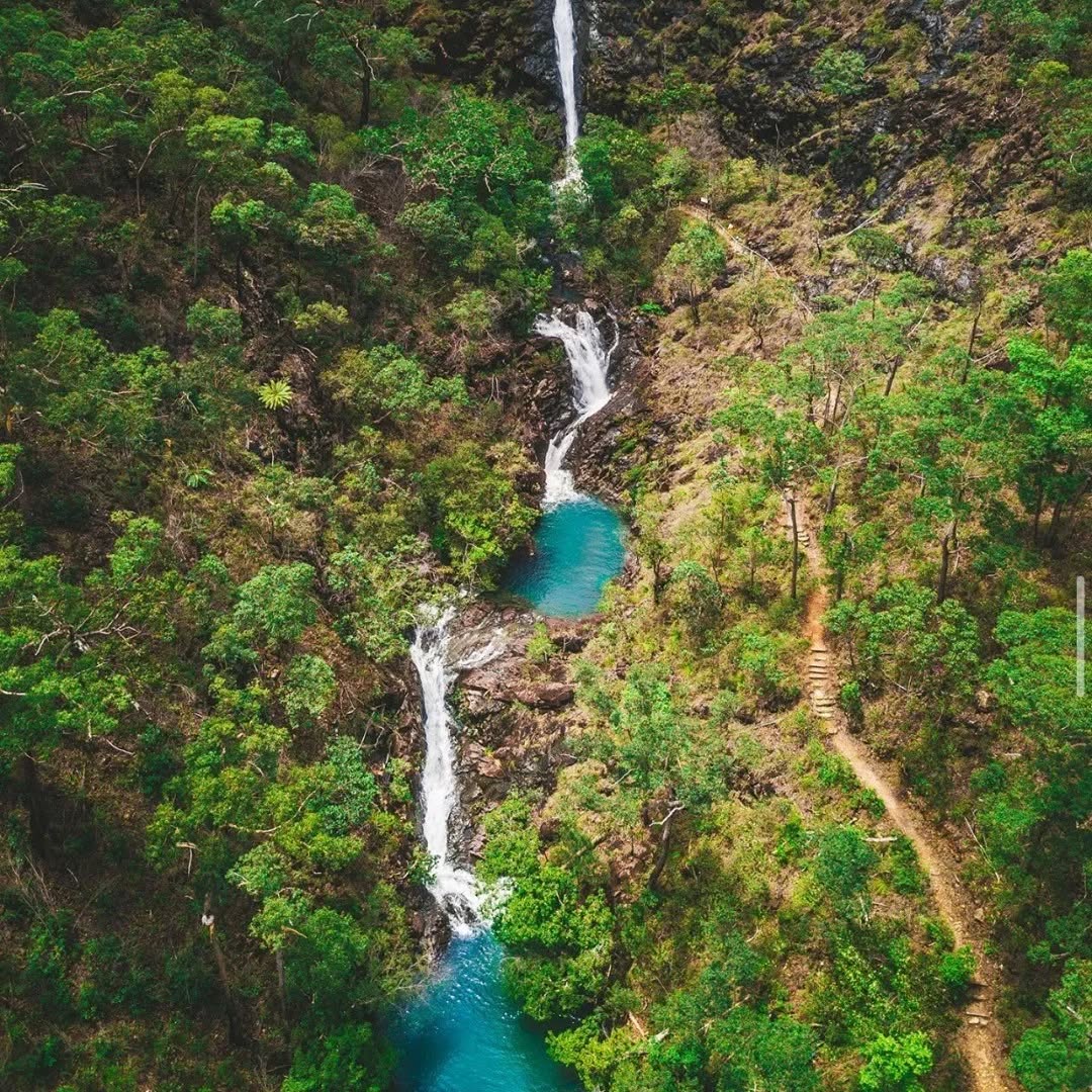 Cardwell, Kirrama Range, Cassowary Coast, Far North Queensland, North Queensland, Australia
