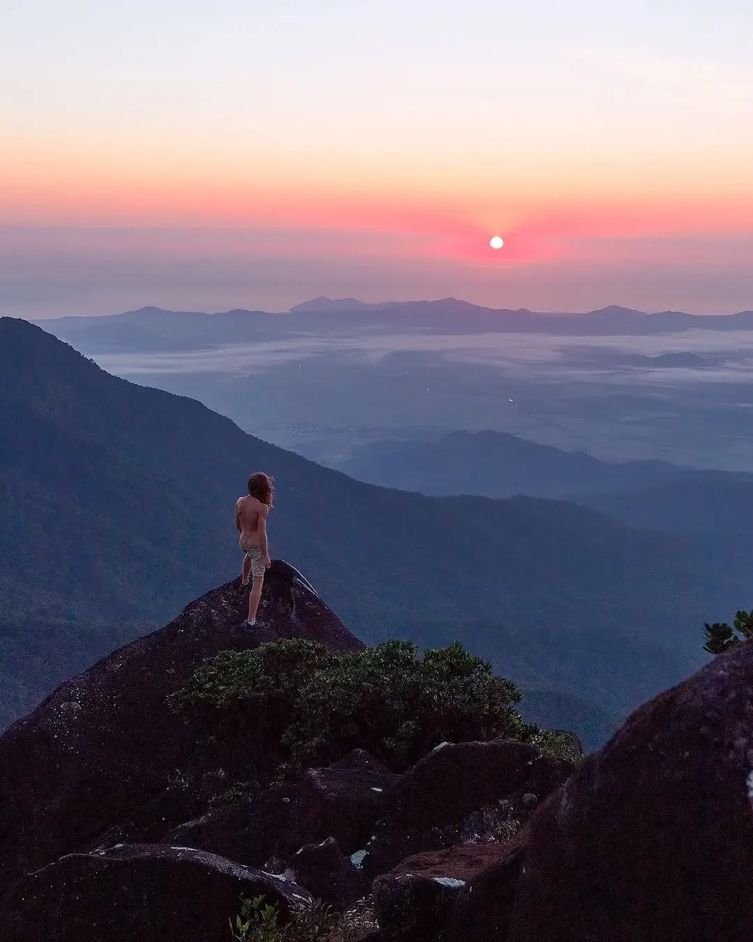 Bartle Frere, Wooroonooran, Far North Queensland, North Queensland, Australia