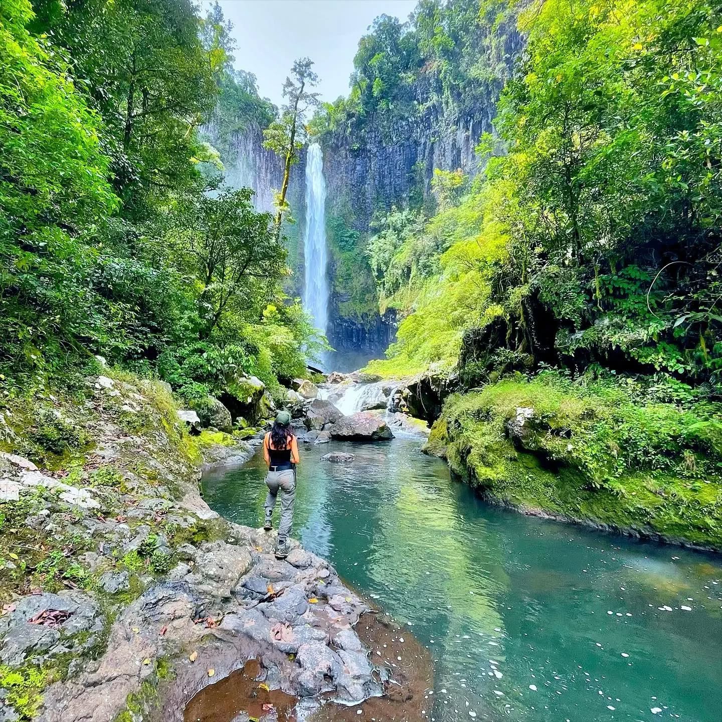 Tully Gorge, Tully Falls National Park, Far North Queensland, North Queensland, Australia