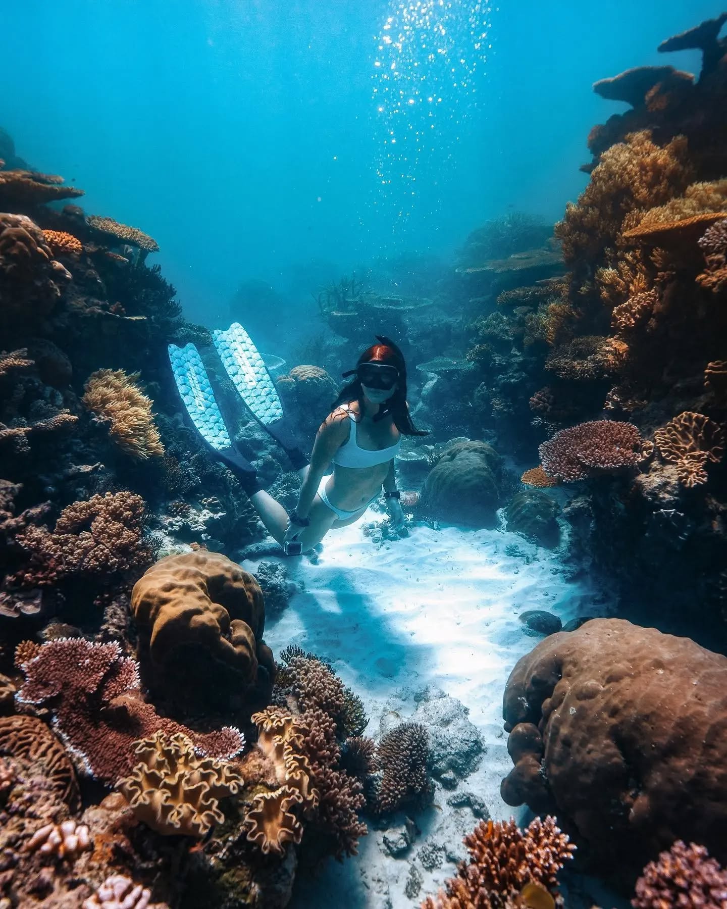 Great Barrier Reef, North Queensland, Australia