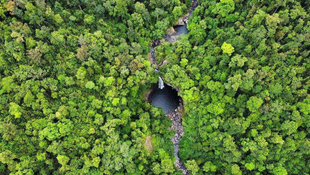 Tully Gorge, Far North Queensland, North Queensland, Australia