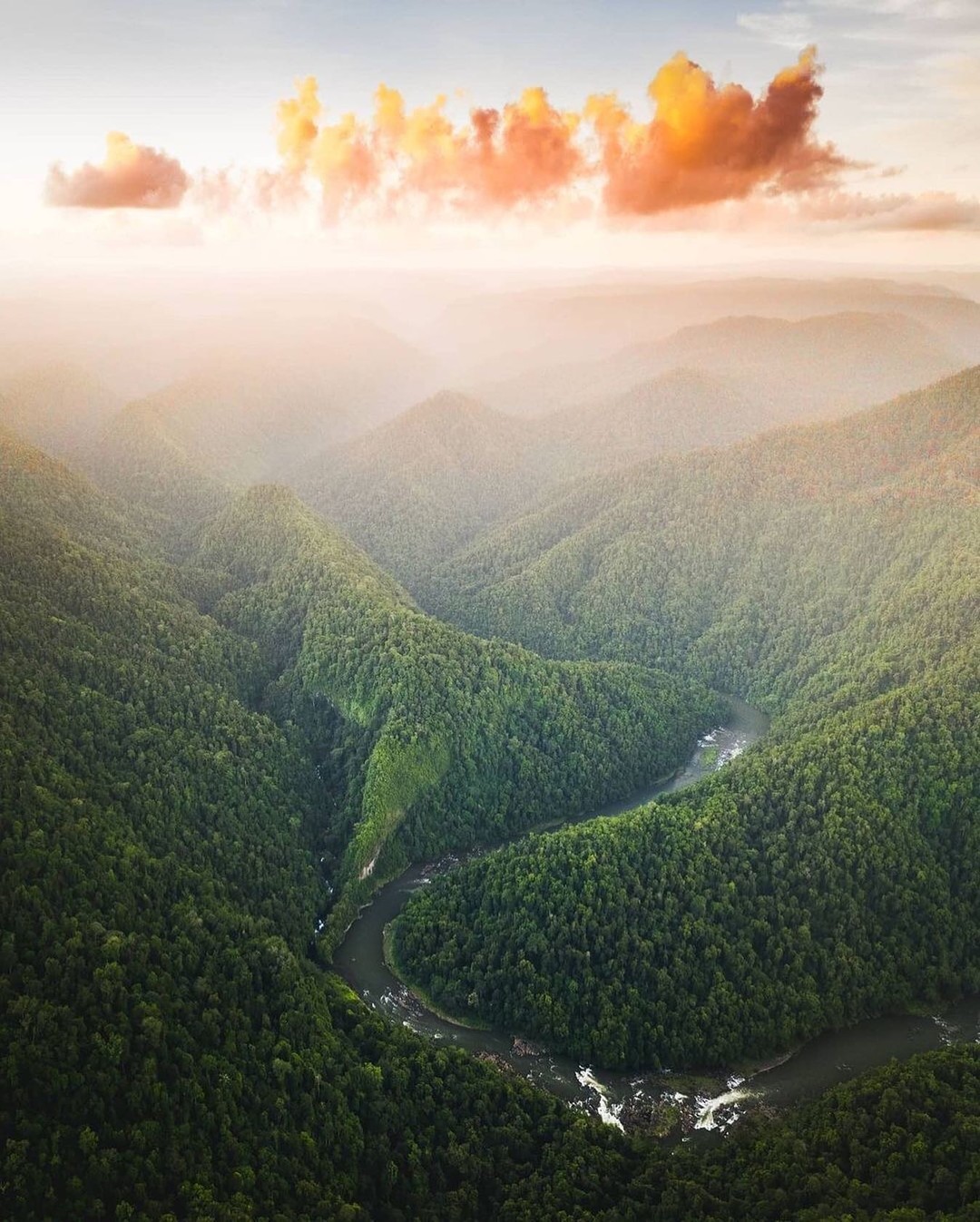 Wooroonooran, Far North Queensland, North Queensland, Australia