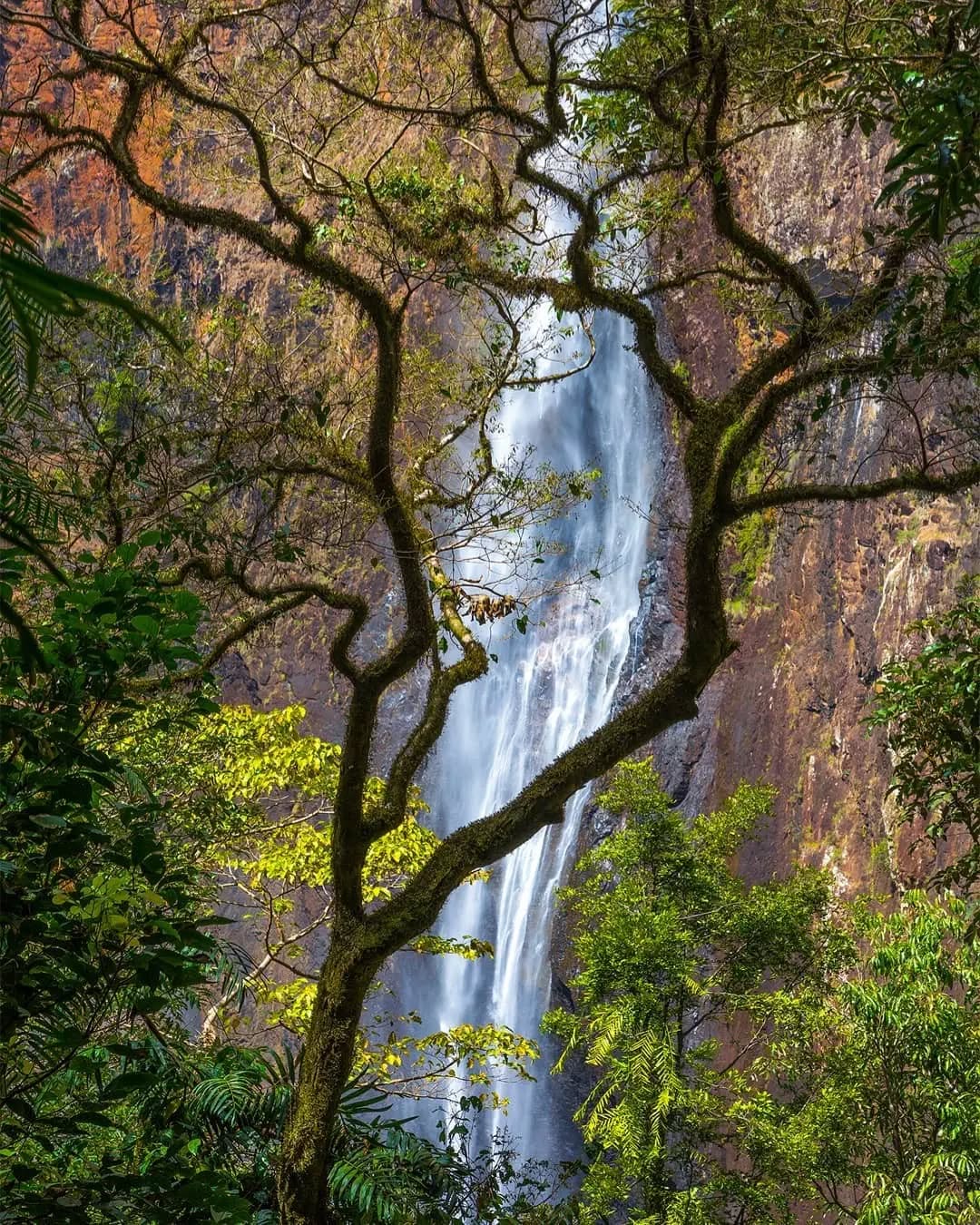 Wallaman Falls, Girringun National Park, North Queensland, Australia
