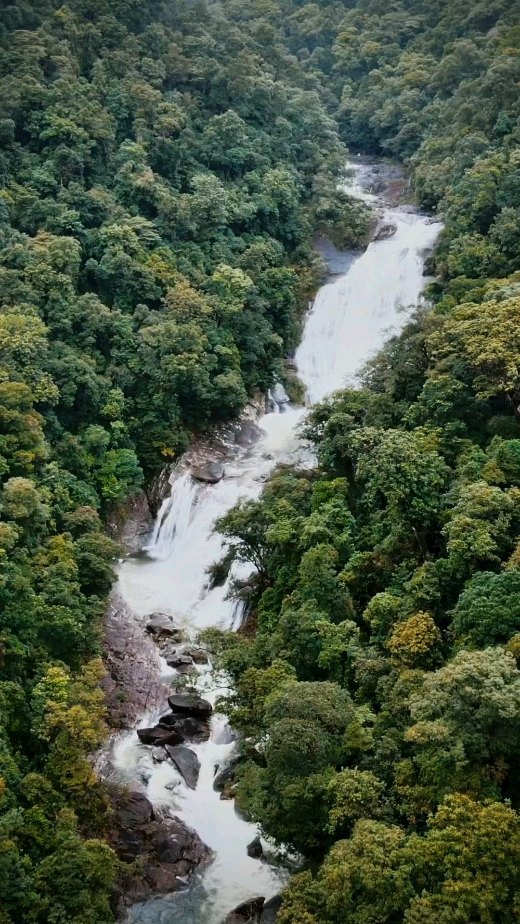 Wooroonooran, Far North Queensland, North Queensland, Australia