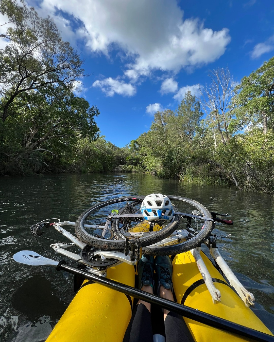 Alligator Creek, Bowling Green Bay National Park, Townsville, North Queensland, Australia