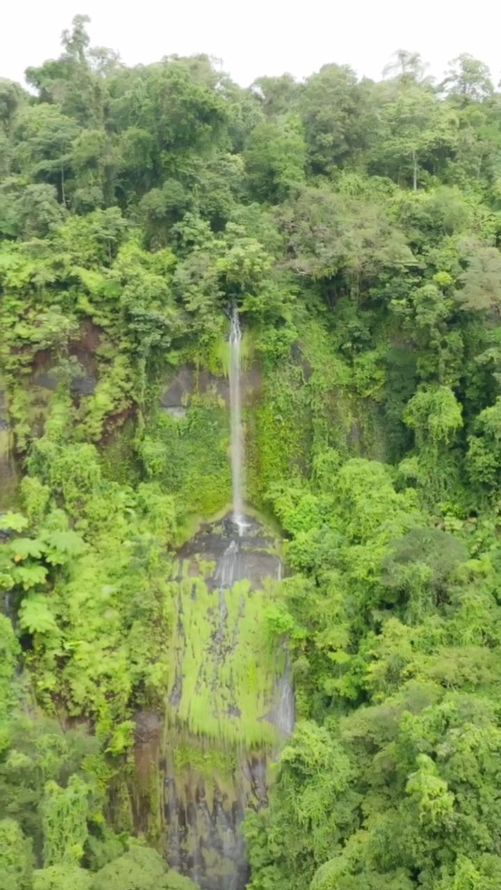 Atherton Tablelands, Far North Queensland, North Queensland, Australia