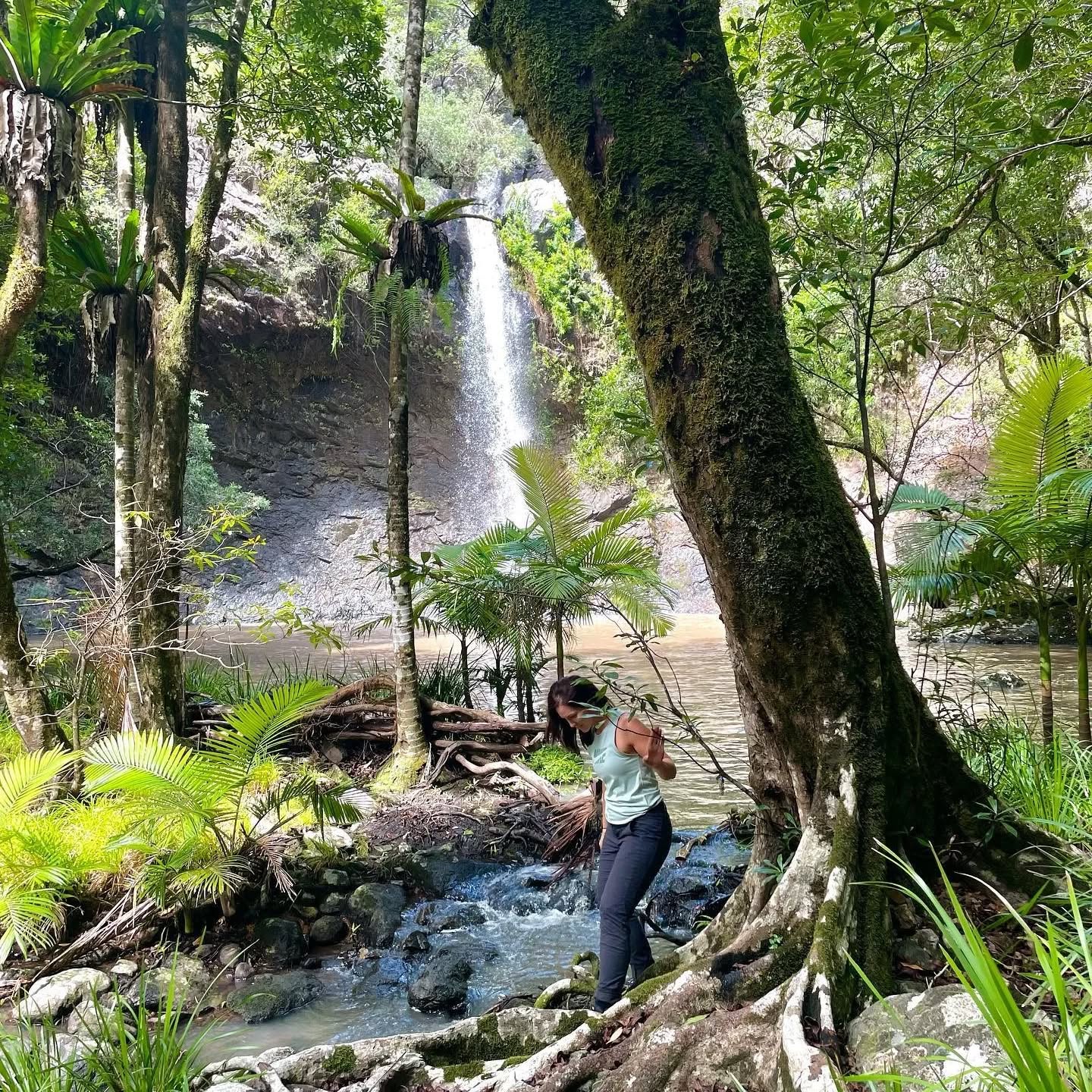Girringun National Park, North Queensland, Australia