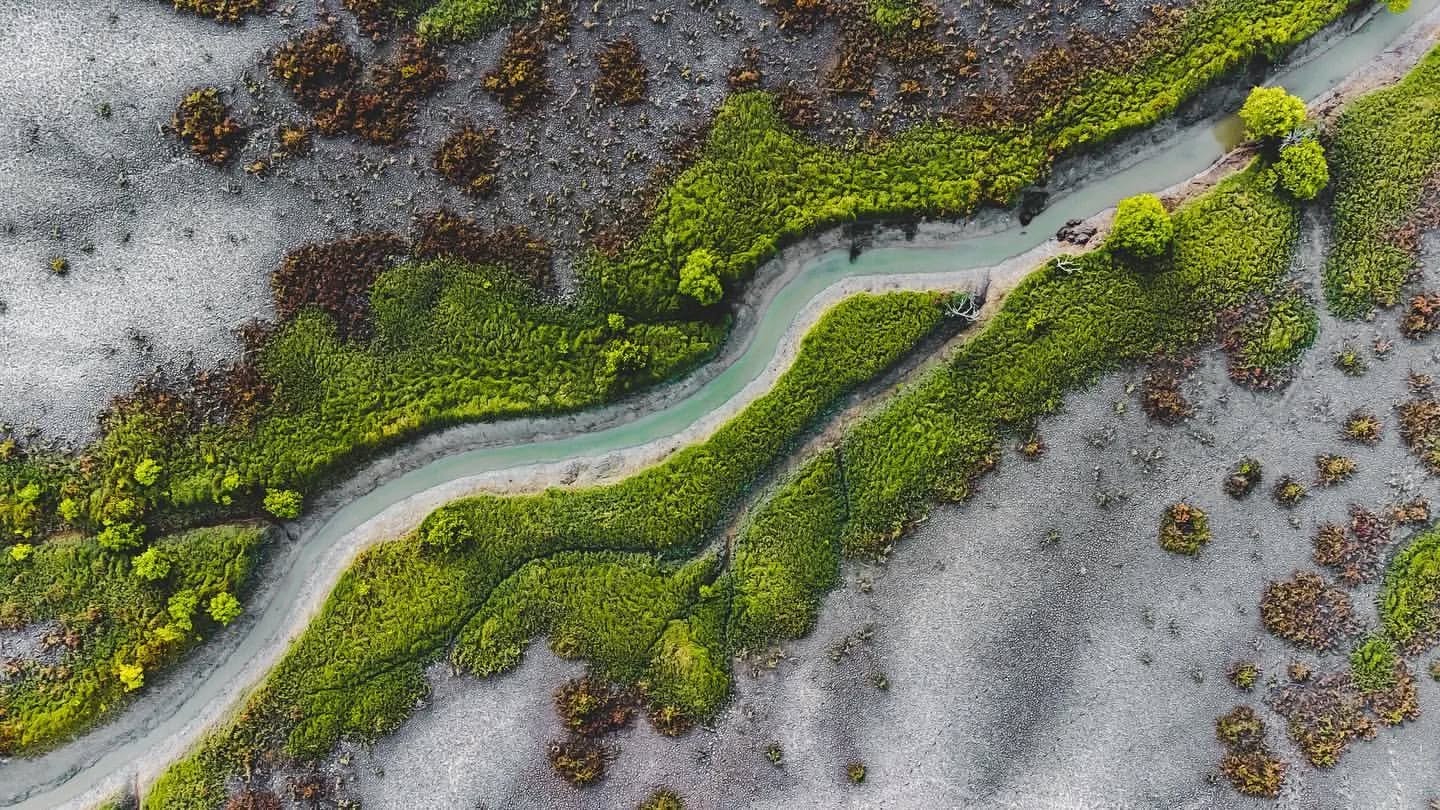 Crocodile Creek, Townsville, North Queensland, Australia