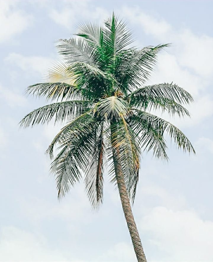 Townsville, North Queensland, Australia