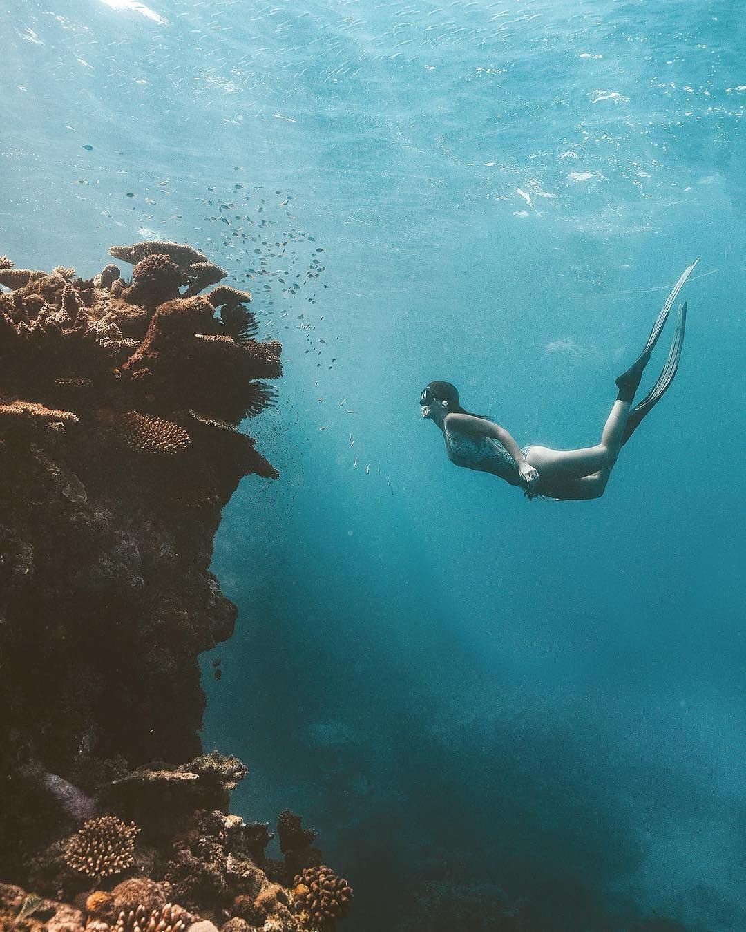 Great Barrier Reef, North Queensland, Australia