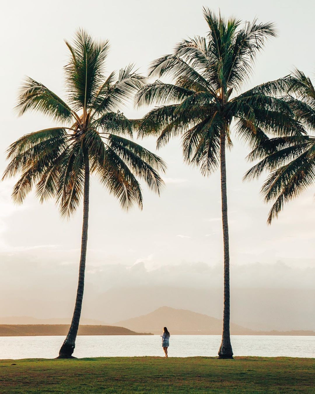 Port Douglas, Far North Queensland, North Queensland, Australia