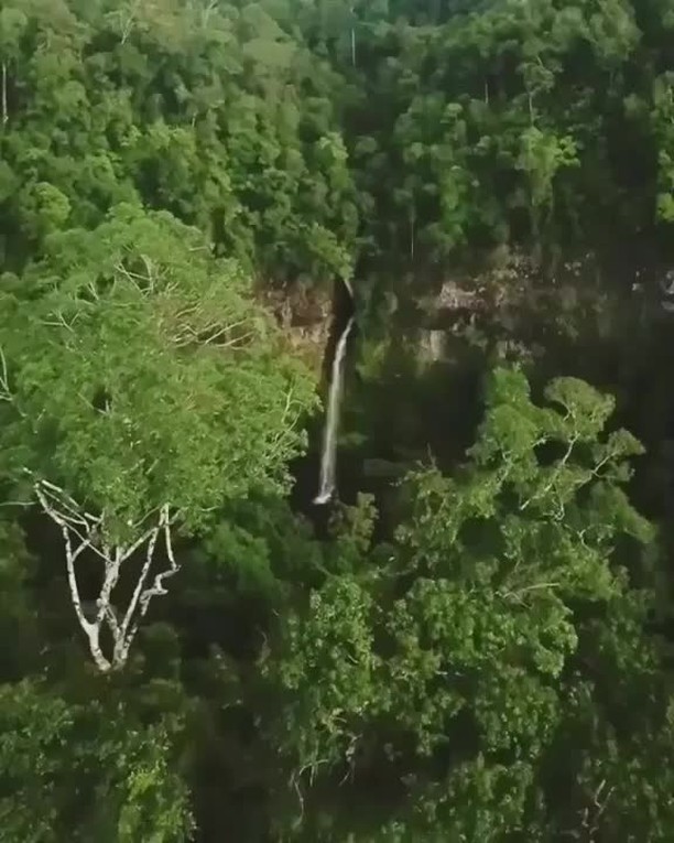 Nandroya Falls, Atherton Tablelands, Far North Queensland, North Queensland, Australia