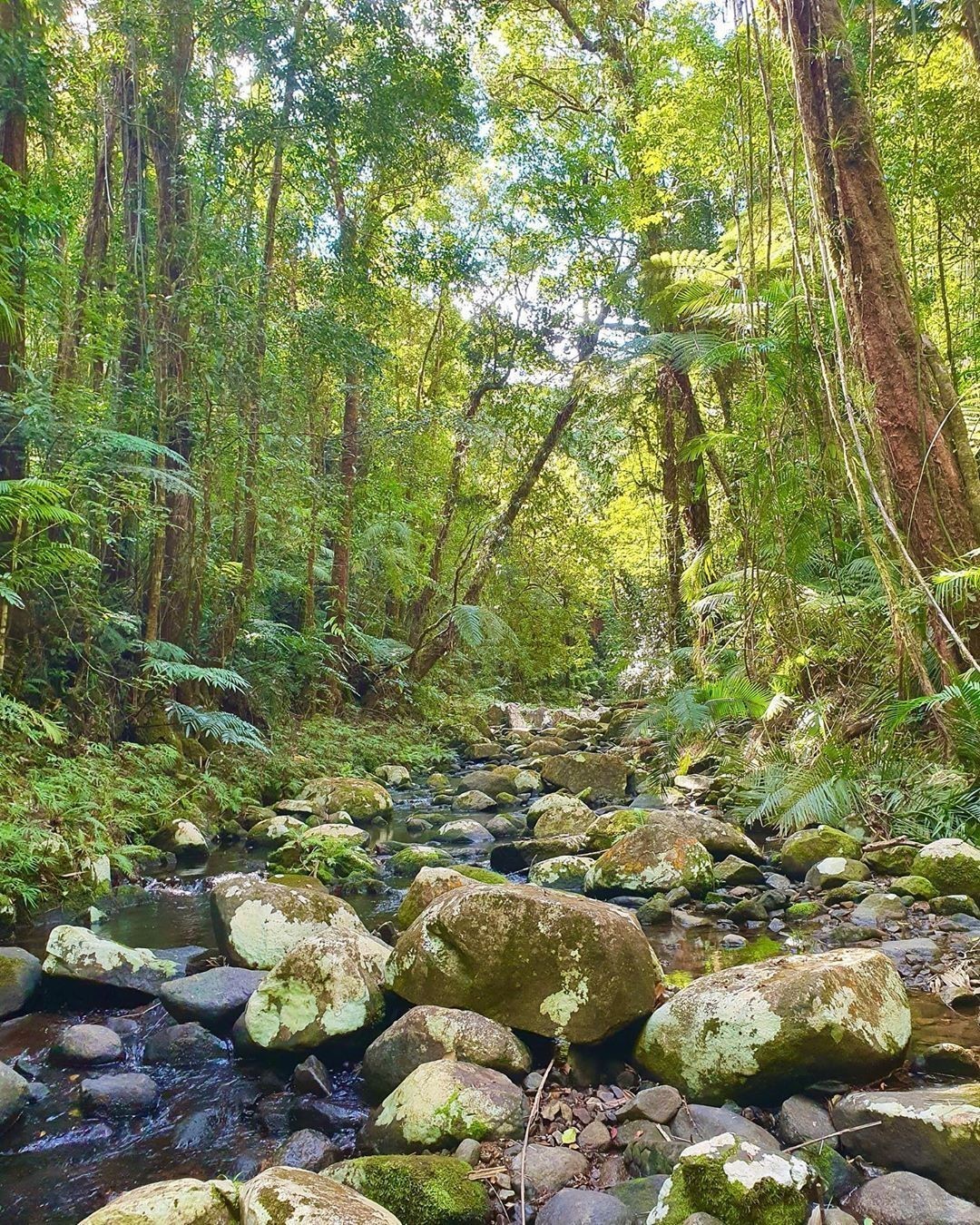 North Queensland, Australia