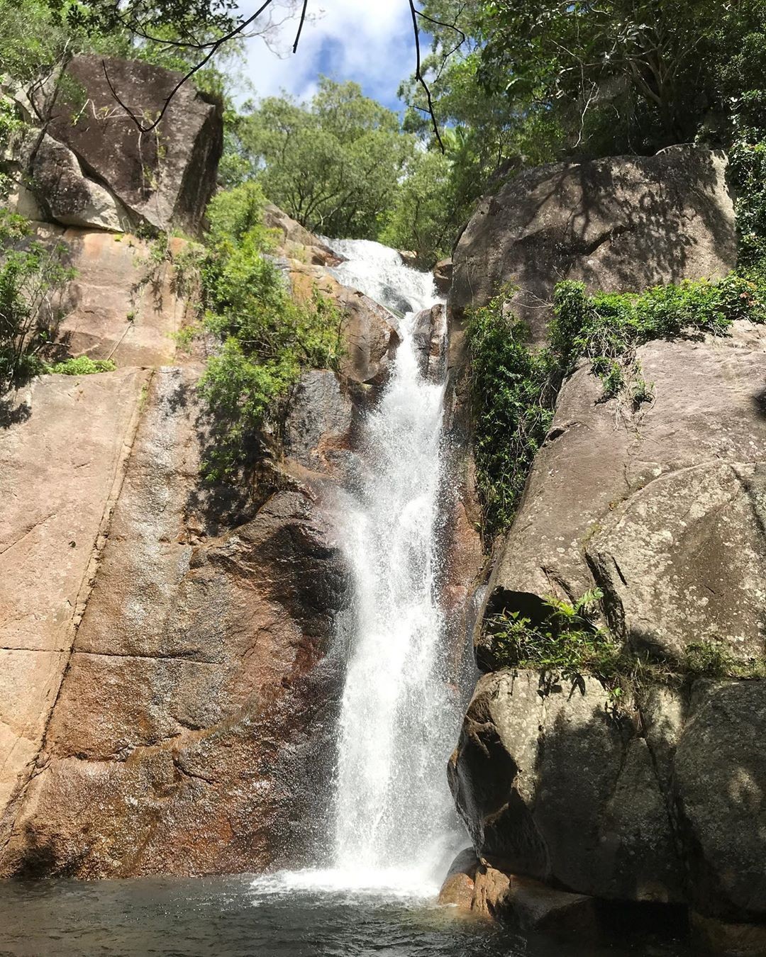 Bowling Green Bay National Park, Townsville, North Queensland, Australia