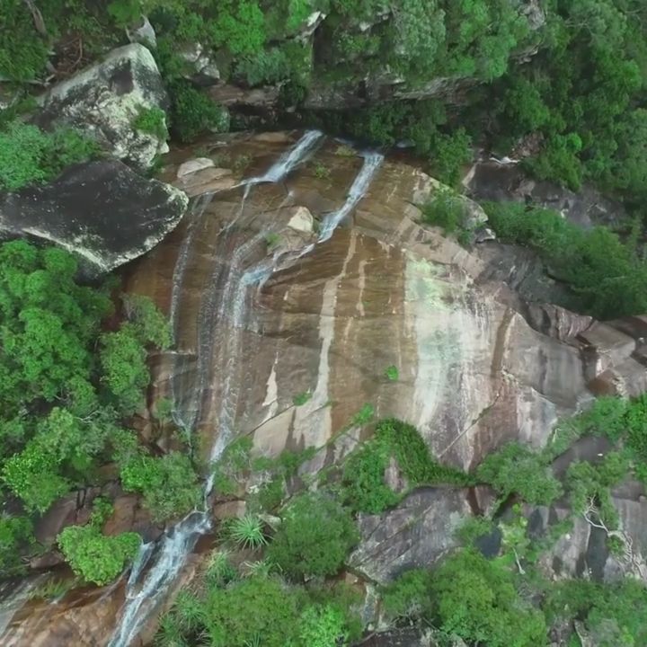 Bowling Green Bay National Park, Townsville, North Queensland, Australia