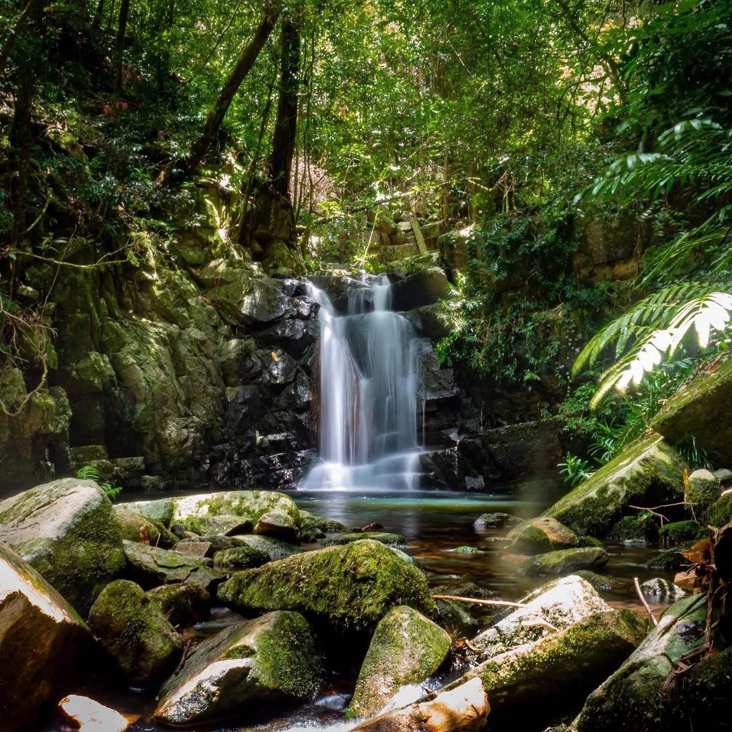 Paluma, North Queensland, Australia