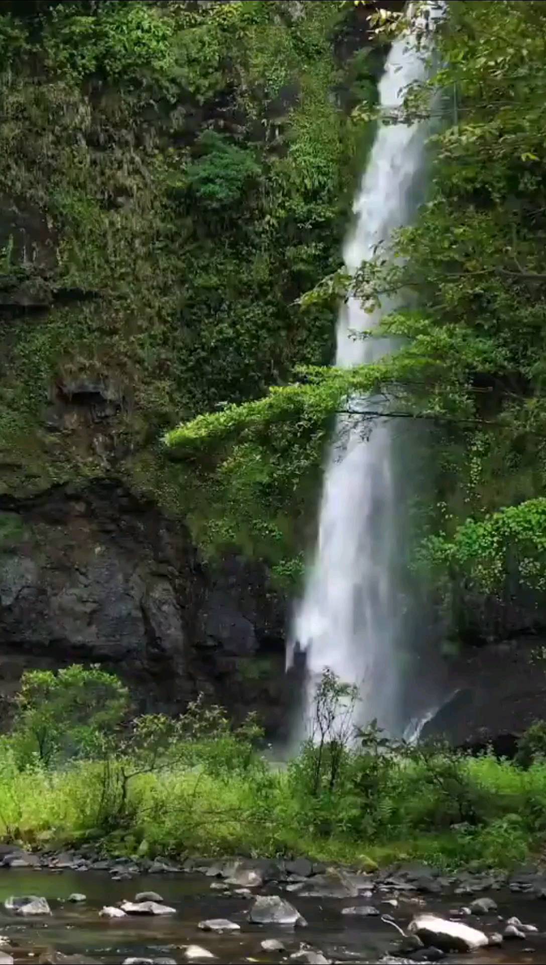 Nandroya Falls, Atherton Tablelands, Far North Queensland, North Queensland, Australia